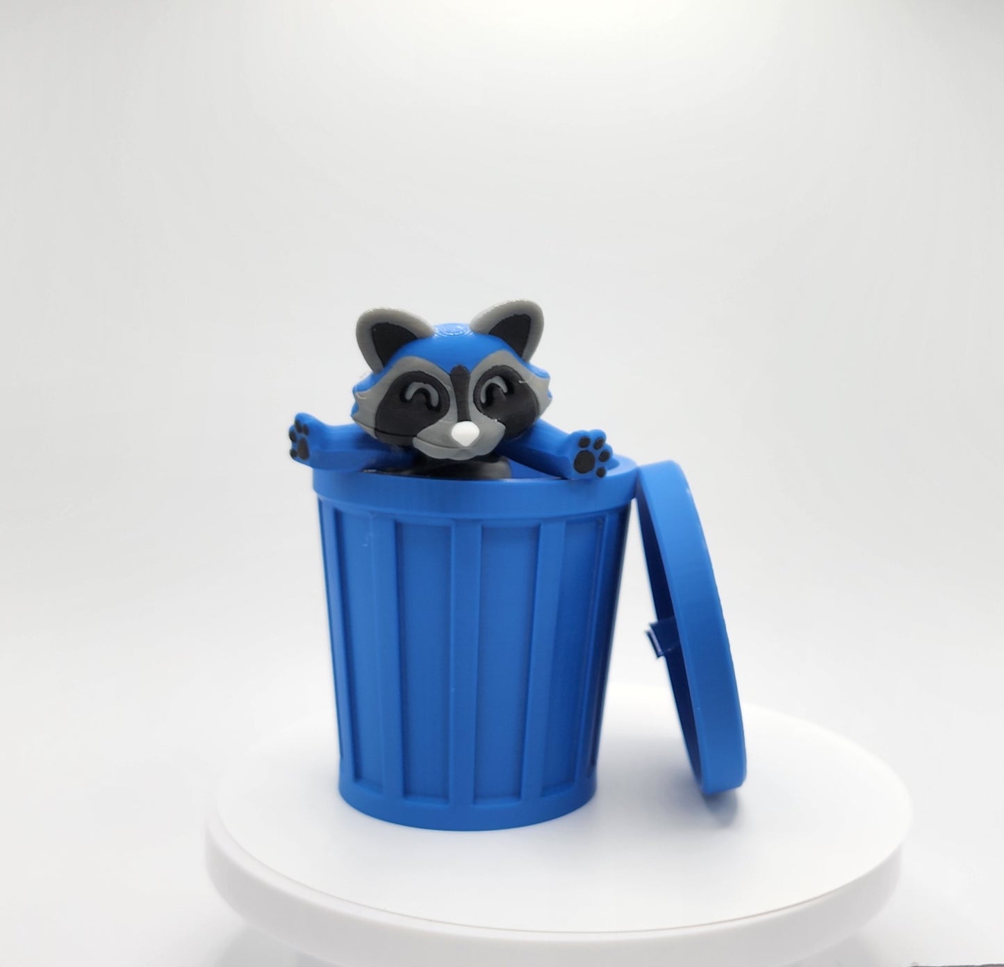 Racoon with Trash Can