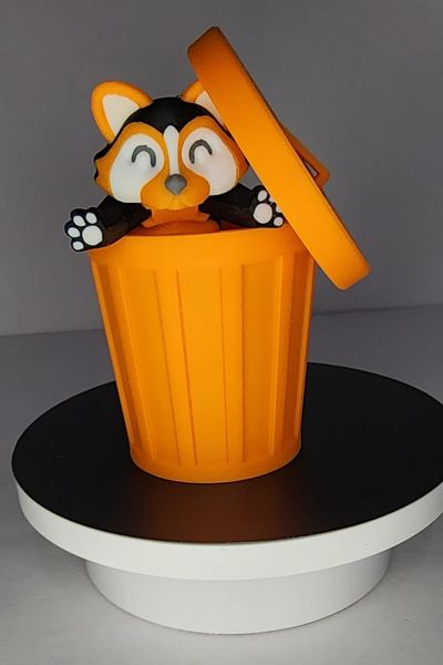 Racoon with Trash Can